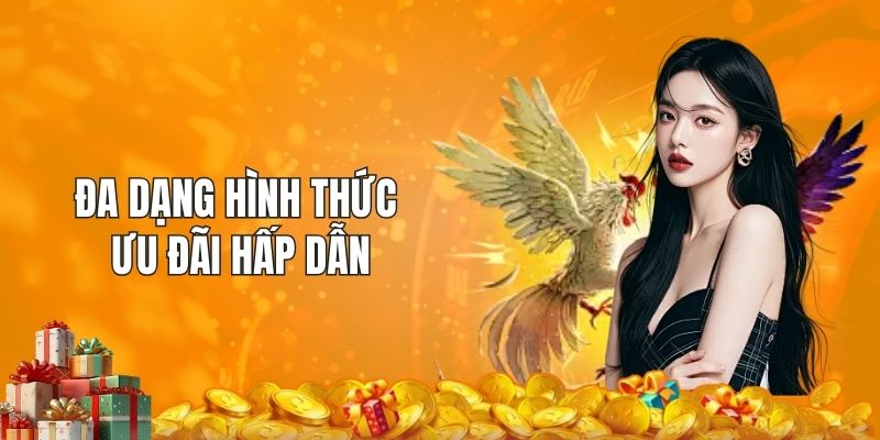 Đa dạng hình thức ưu đãi hấp dẫn