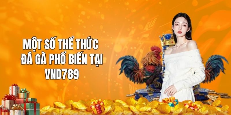 Một số thể thức đá gà phổ biến tại VND789